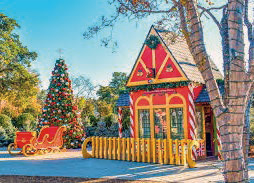 The Arboretum Christmas Experience